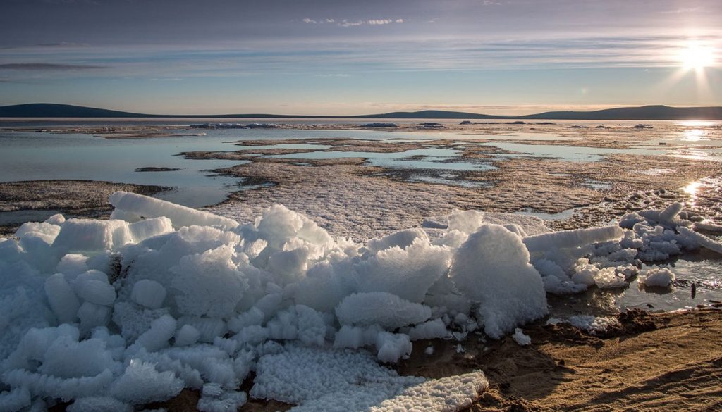 Новый рекорд температуры в Арктике вызывает климатическую тревогу