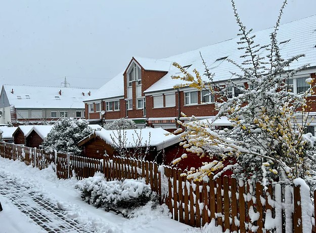 В Германии несезонный снегопад нарушил общественную жизнь